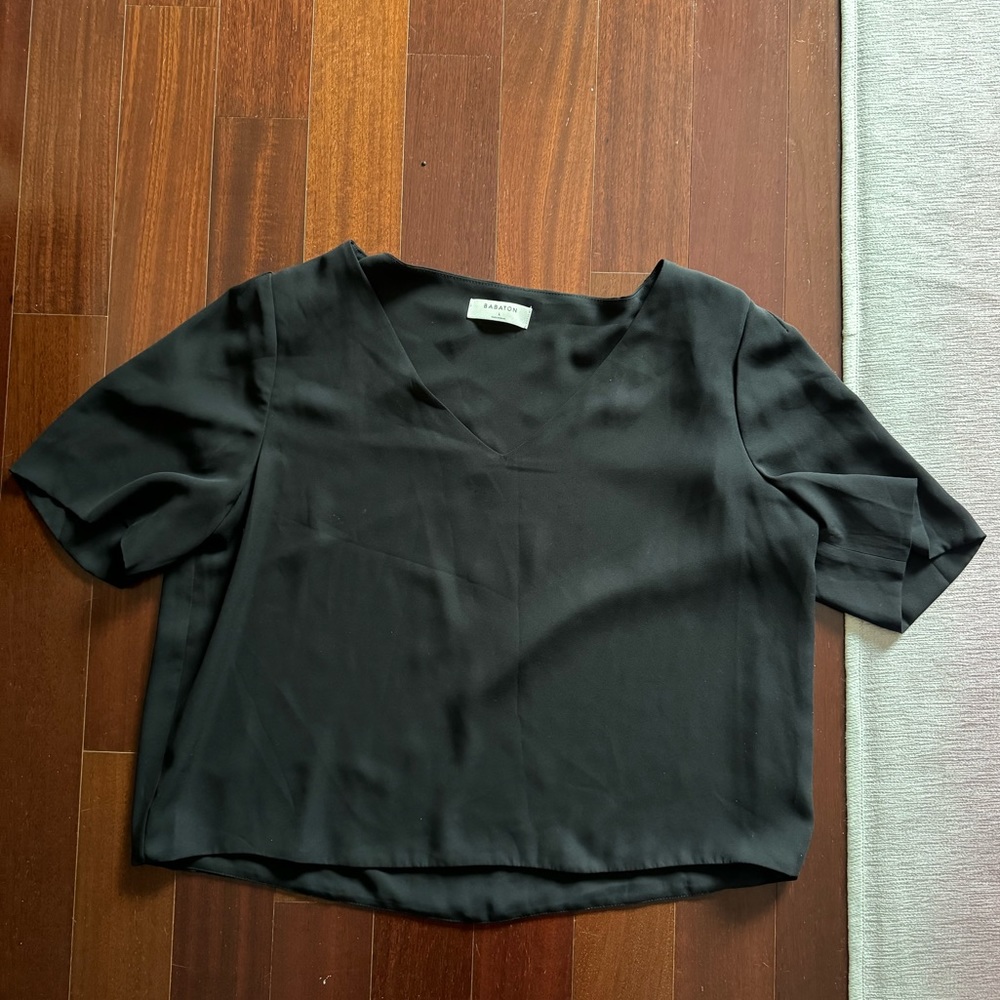 Babaton V Neck Crepe Blouse